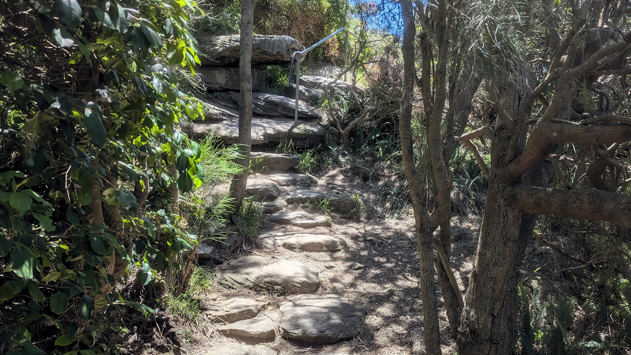 dy_curlcurl track (10)